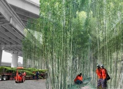 Bamboo-Biofilter, Toxic tour of West Oakland, Local News & Views 