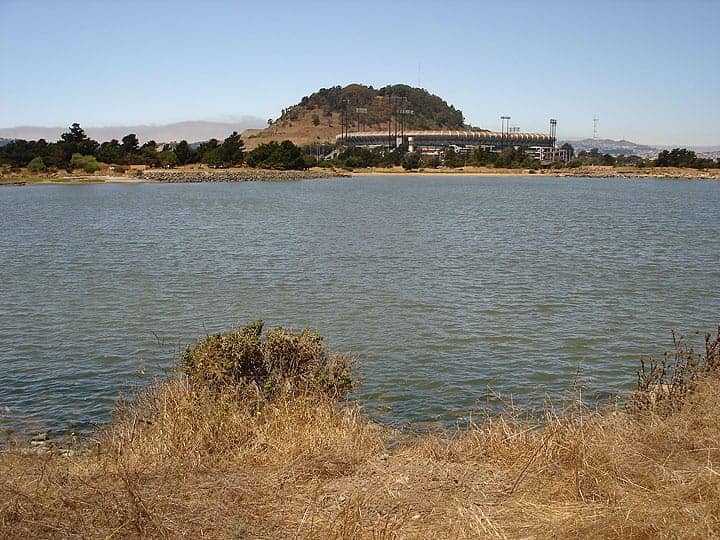 Candlestick-Point-State-Recreation-Area-49ers-stadium-072309-by-Chris-Carlsson, Don’t privatize our state park!, Local News & Views 