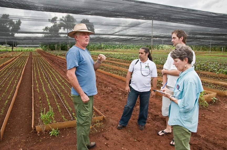 Havana-harvest-110909-1-by-Scott-Braley-web, Havana harvest: Organic agriculture in Cuba’s capital, World News & Views 