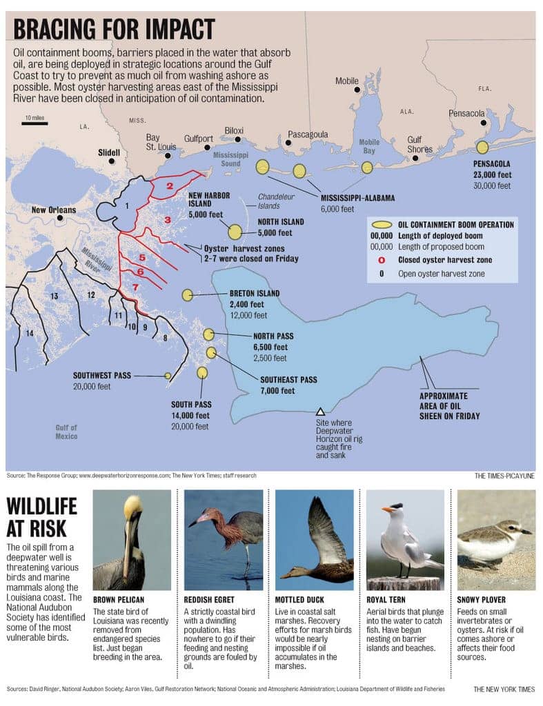 Oil-leak-Gulf-impact-diagram-bird-pics-by-NYT, Fire on the bayou: Non-stop river of oil heads to Louisiana, Mississippi, Alabama and Florida, News & Views 