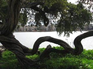 lake-merritt-fluidity-020509-by-wanda, Wanda’s Picks for Feb. 7, Culture Currents 